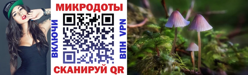 darknet наркотические препараты Абаза Псилоцибиновые грибы Magic Shrooms